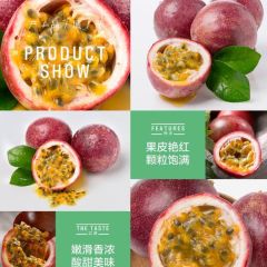 广西百香果 精选大果12个装 单果70-100g