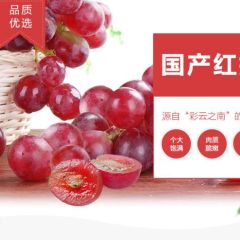 国产红提 葡萄/提子 1kg装 新鲜水果